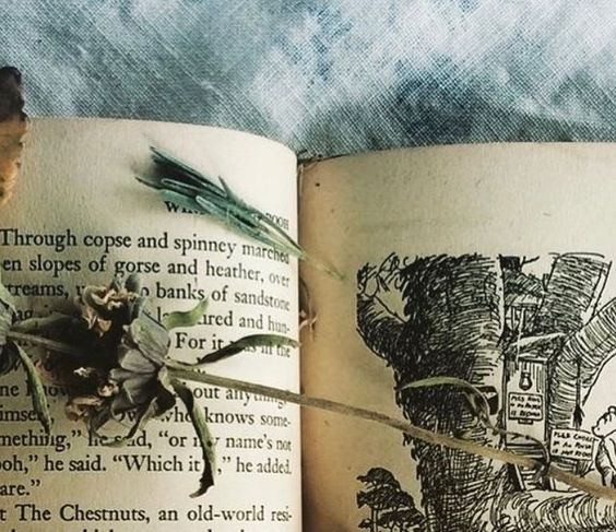 Copse and Spinney Home