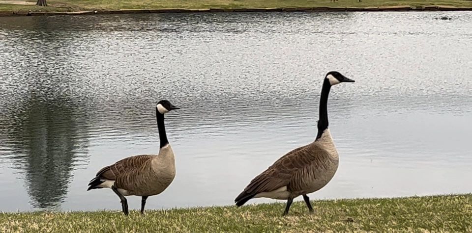 Just a couple of passers by!