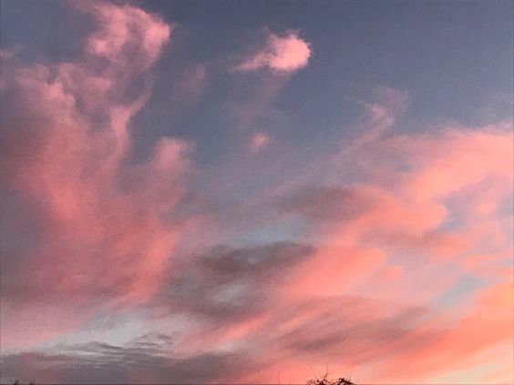 PInk Sky photo by Laura Acheson